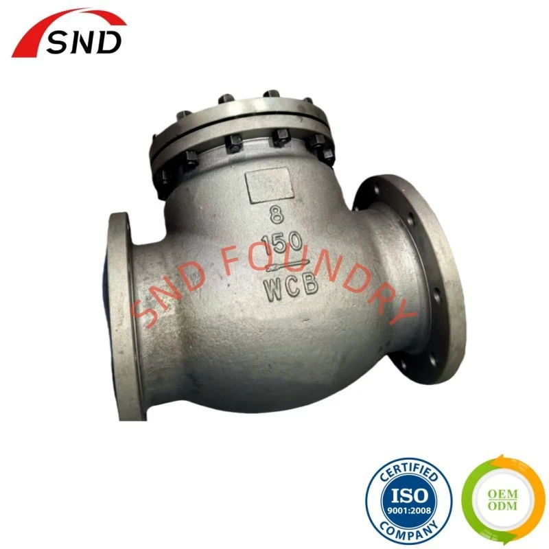 Power Plant Check Valve