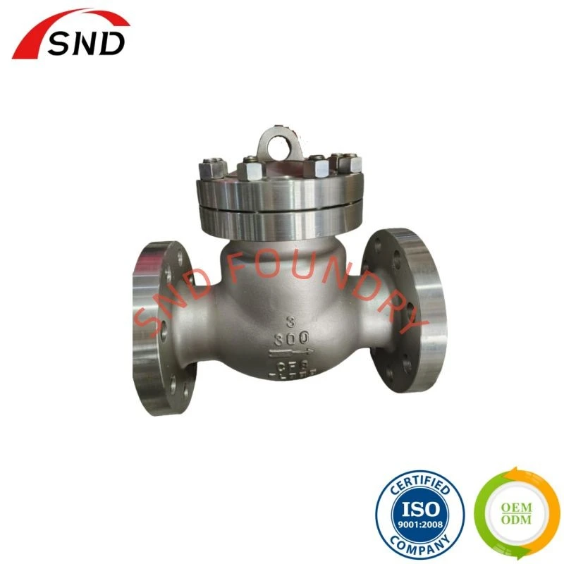 Steam Check Valve